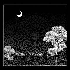 While I Was Gone