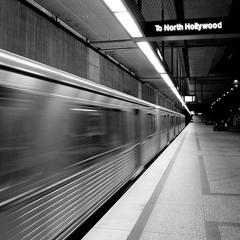 Brian Busto - The Night Train 2011