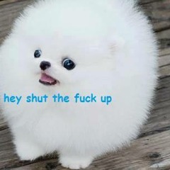 The Sea Will Drown Us All