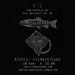 Michiu & Fierbinteanu - M&F Meandering In Santiago