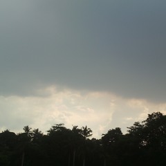 Becaus it's you- One Piece (ost.faith)