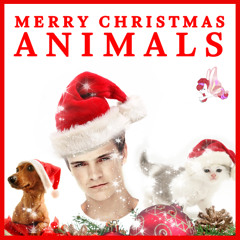 Martin Garrix - Merry Christmas Animals (Santa Remix)