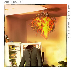 Not Sure Of What Is Pain