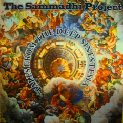 Cosmic River/Le Monde Passionant - The Sammadhi Project