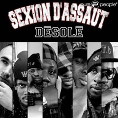 Sexion dAssaut - Désolé Type Beats | Prod.By HamoudaBeats