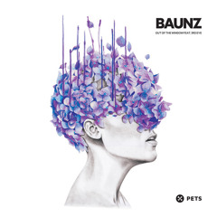 Baunz - Out The Window (Walker & Royce Remix) - Out Now on Pets Recordings