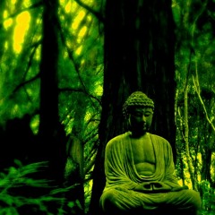 Dharma Sectio Divina.