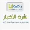 نشرة الأخبار .. 3-12-2013