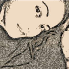 Apsa me mwan upwe maa
