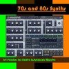 70s and 80s Synths - 64 Massive Sounds