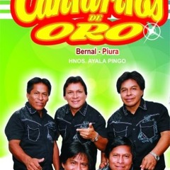 ZENAIDA - CANTARITOS DE ORO  BERNAL-PIURA