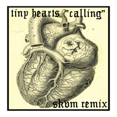 Tiny Hearts - Calling - SKVM Remix
