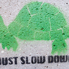 Haha Slow Down (Remix)- Celcius