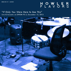 If Only You Were Here to See This (Live & Acoustic on DWDM 95.5)