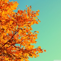 Dancefloor Figherpilot Ranger II