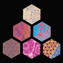 Atomic Spectre [Dub]