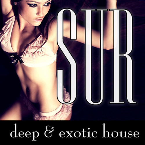 Todd Hanna - Sur Podcast Dec 2013