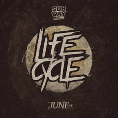 Lifecycle - June (Mr Delirious Angry December Bootleg Remix)*FREE DL*