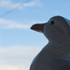 Watcher Of The Skies (excerpt)