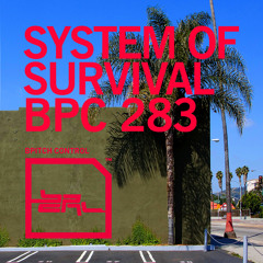 System Of Survival - Crash What (Miguel Campbell & Matt Hughes Remix)