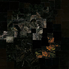 Woodsman - In The End Remember When?