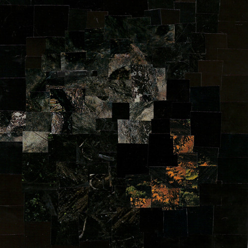 Woodsman - In The End Remember When?