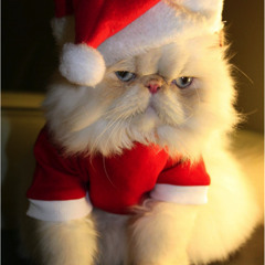 The Sourcefabric Radiophonic Mixtapes Vol:06