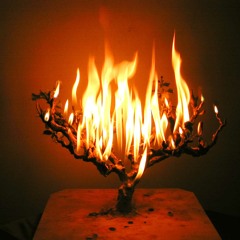 Set A Fire (Cover) - Cody Davenport