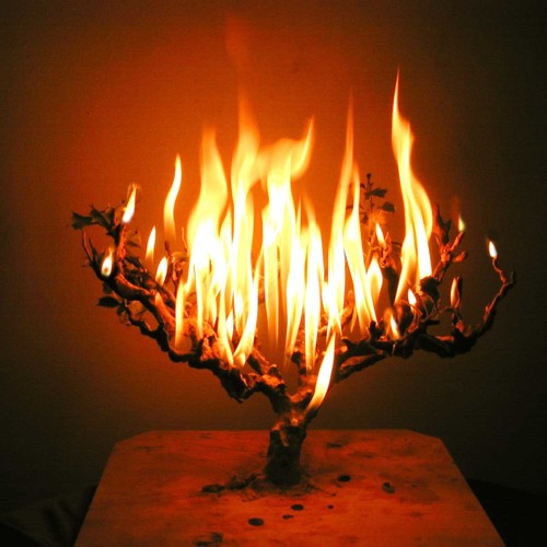 Set A Fire (Cover) - Cody Davenport