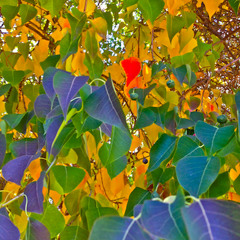 Waiting For Tomorrow