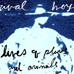 RIVAL BOYS - "Lives of Plants and Animals" (2014)
