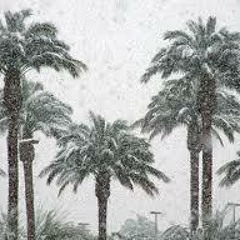 Diana Gitallog & Pacifico - Snowy Palms