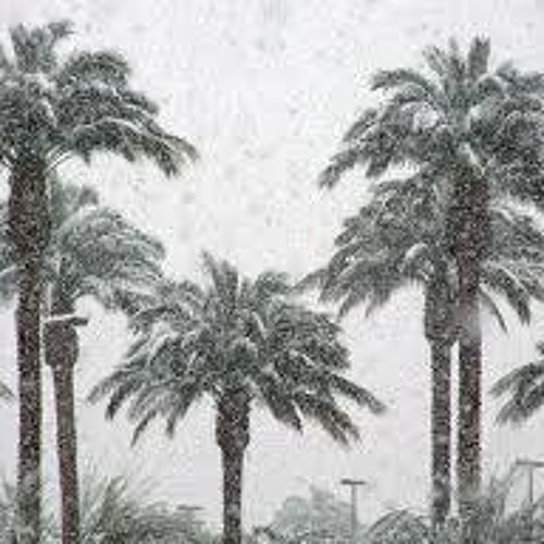 Diana Gitallog & Pacifico - Snowy Palms