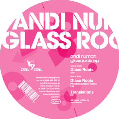 Andi Numan - Glass Roots