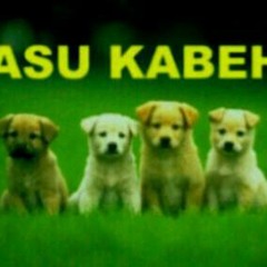 Theme Song Of Pirates Of Carribean (Fingerstyle Accoustic)