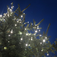 Driving home for christmas - Chris Rea Cover 2009