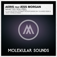 Aeris feat. Jess Morgan - What Do You Feel? (Re:Locate Vs. Robert Nickson Banging Remix)