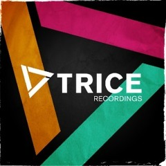 Trice Recordings - Year Mix 2013