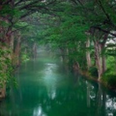 Jeff00707  Изумрудная Река