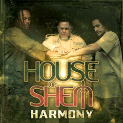 House Of Shem "Take You There" [House of Shem / VPAL Music]