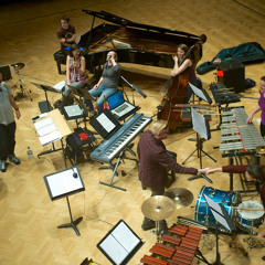 Dehumanised Shock Absorbers