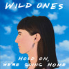 Hold On We Re Going Home Mp3