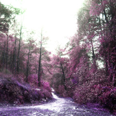 Blue Autumn - Chinese Winter (Experiment)