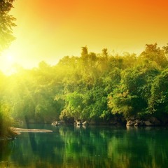 ZEN MEDITATION ASCENSION
