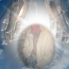 Have U Ever Seen A Thug Cry