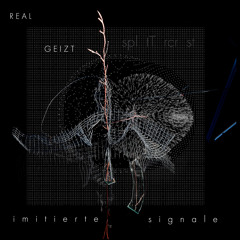 Schwarzes Glück