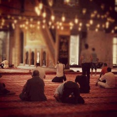 الشيخ هانى الرفاعى - دعاء
