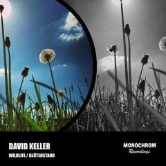 David Keller - Blütenstaub