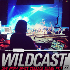 Wildcast 77 - Live from Space Terrace Miami (Part 1)