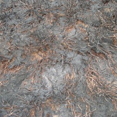 ash relics